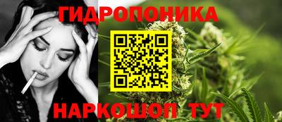 шишки Чебоксары