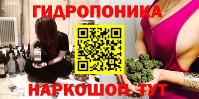 шишки Чебоксары